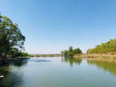 -东方巨龟苑景区