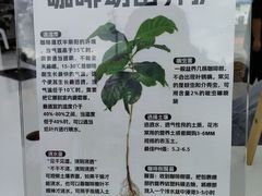 -广州天河体育中心-棒垒球场