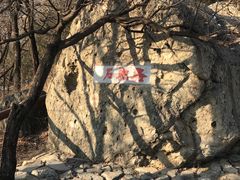 -阳台山自然风景区