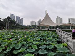 -文华公园(禅城区)