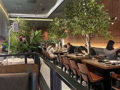 -同仁四季椰子鸡(海岸城天利店)
