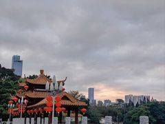-荔枝公园(福田区)
