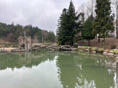 -四明山国家森林公园
