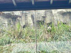 -宁波野生动物园