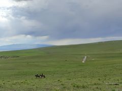 -马白开来特色羊排揪片子  (总店)