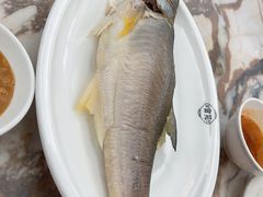 五笋鱼饭-吴记富苑(朝阳店)