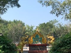 -西双版纳傣族园