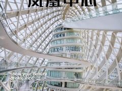 -凤凰中心
