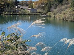 -四明山国家森林公园
