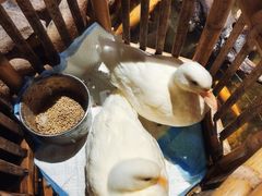 -馬蘭花開(车站大道店)