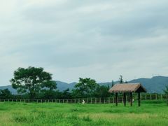 -良渚古城遗址公园