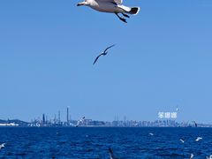 -大连海昌东方水城