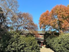 -灵谷景区