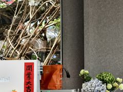 -南国桃园旅游度假区