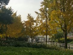 -苏州河梦清园环保主题公园