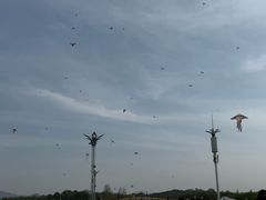 -池州市平天湖风景区