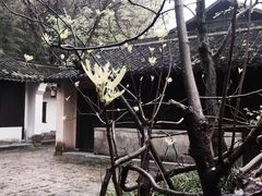 -法云安缦酒店