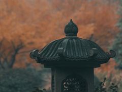 -慧因高丽寺