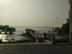 -宝安西湾红树林湿地公园