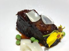 -诺莱仕游艇会