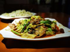 圆白菜回锅肉-小渝府(车站西街店)