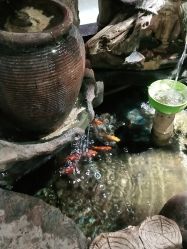 点击看大图 -小时候儿童摄影(解放大道店)