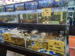 -娱筷海鲜酒家(广州南沙店)