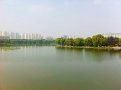 -洛阳市隋唐城遗址植物园