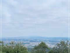 -东莞市大岭山森林公园