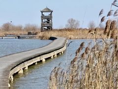 -盐城丹顶鹤湿地生态旅游区