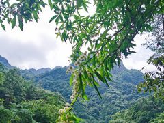 -龙湾潭国家森林公园