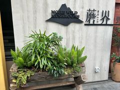 -蘑界·野生菌火锅(深业上城店)