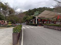 -广州白江湖森林公园