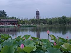 -西海子公园