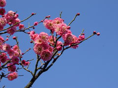 -苏州东太湖生态园