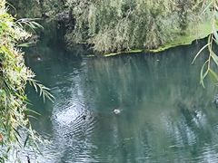 -贵阳市花溪国家城市湿地公园