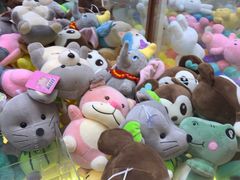 -盛江山自助料理(奥莱锦辉购物广场店)