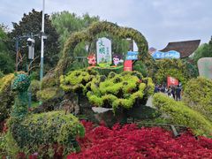 -溱湖国家湿地公园