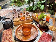 -菌自由丨野生菌火锅特色庭院餐厅(丽江古城店)