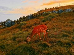 -萍乡武功山风景名胜区