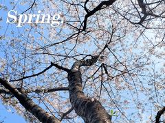 -重庆中央公园(渝北区)