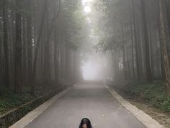 -山王坪喀斯特国家生态公园