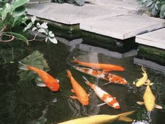 -漫笙舍Manse·咖啡·民宿