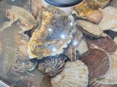 -大锅强·蒸海鲜青岛菜(吾悦广场店)