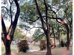 -中国科学院华南植物园