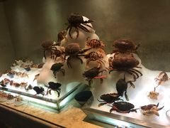 -雍和会海鲜姿造自助(湖东路店)
