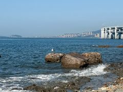 -银沙滩浴场
