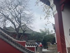 -长春观