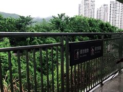 -亚龙湾站