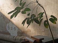 -VOYAGE COFFEE 咖啡烘焙工坊店(798艺术区店)